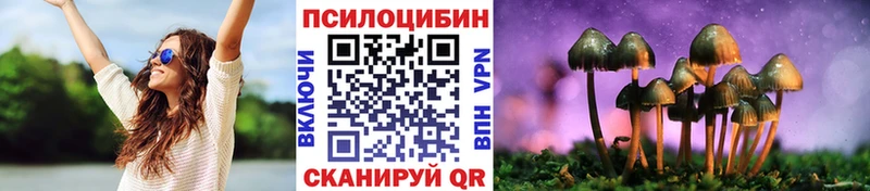 Псилоцибиновые грибы мухоморы  Шилка 
